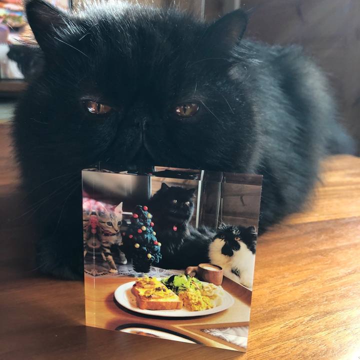 378b7a22 16d7 4fa3 858c ec561be94dcf 1615011911035