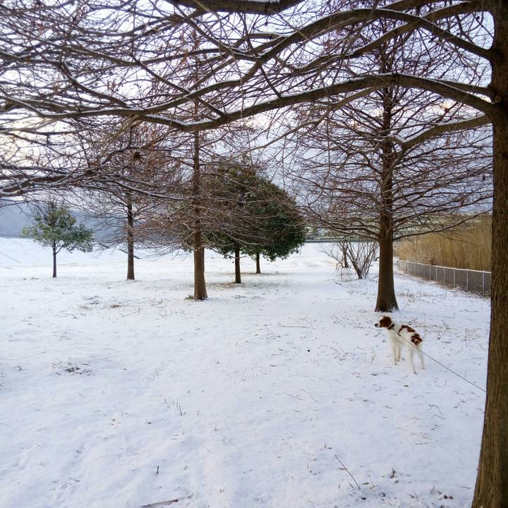 378b8dfa 6c69 49ff 8f42 86161e615eee 1518401618281