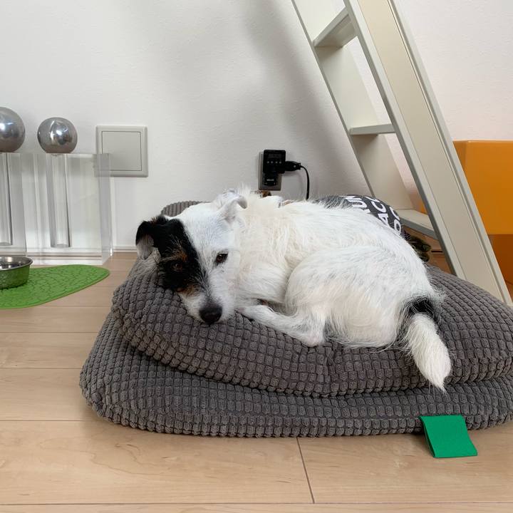 378b9ce7 bdfd 4cf5 9b7e 4fe78ceb7bd4 1554508036420