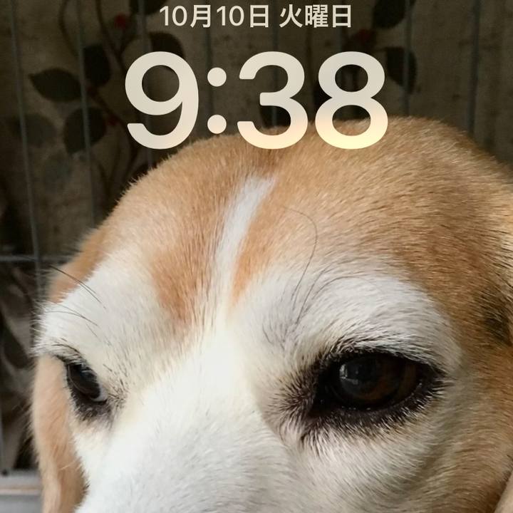 378b9f3f 23d1 4078 96d0 964fa474759a 1696898409105