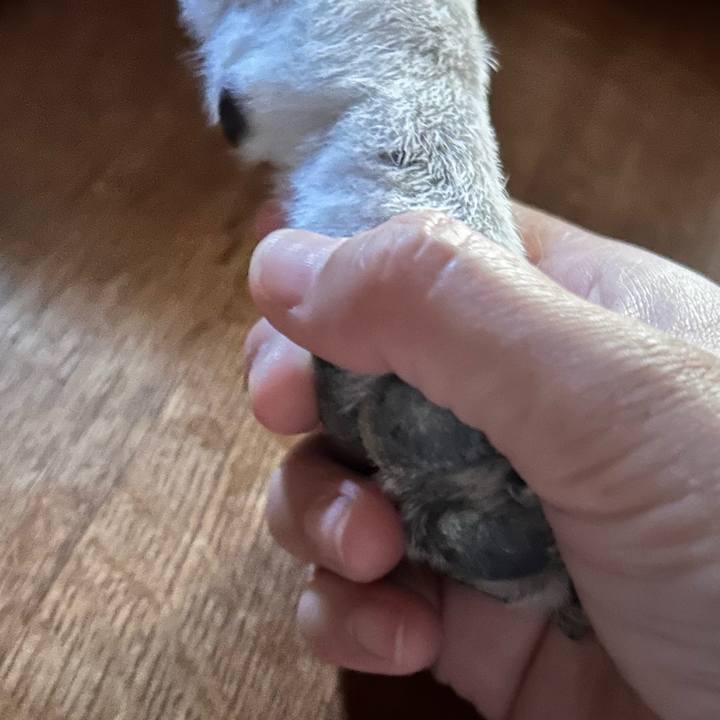 378ba19a 375a 4531 b312 6c7729e6e51d 1753514135682