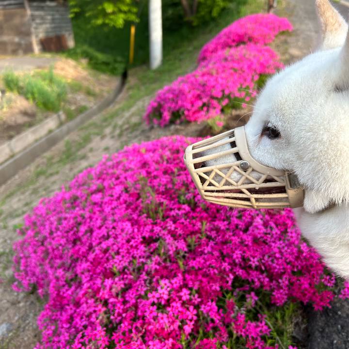 378bb1d9 54f3 4b70 9ca1 fcdaf126ee0d 1747430410186