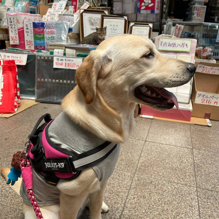 378bd053 9866 4b79 b768 c9f3870a747f 1623045348591