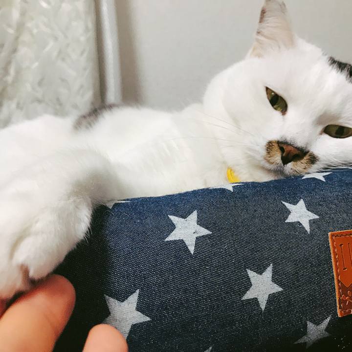 378bdfd5 cdf7 4338 aa74 2a28c0e317e8 1520418881075