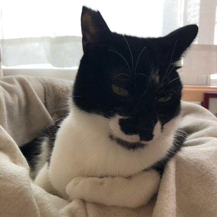 378c01a9 4439 44e5 8ec5 27095977c53f 1554612332423