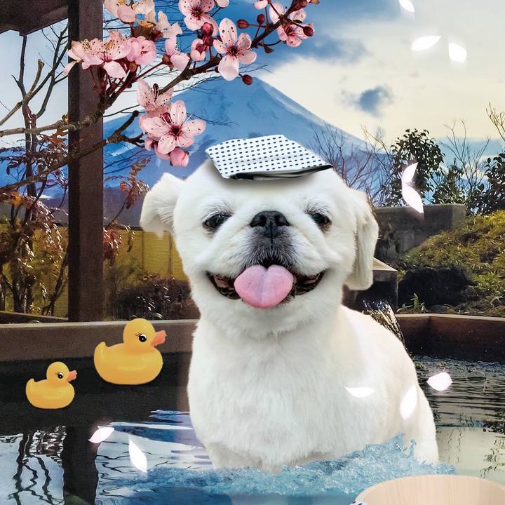 378c06bd e513 4e46 aa55 fff52e8fbdd3 1675507856926