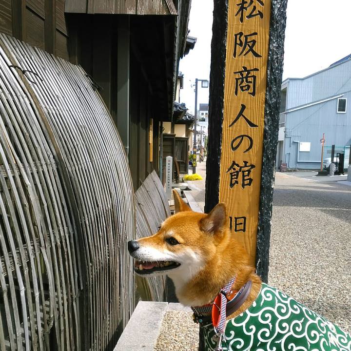 378c2ba1 6b14 4cfc 918d 8a40d0782b38 1565093319833