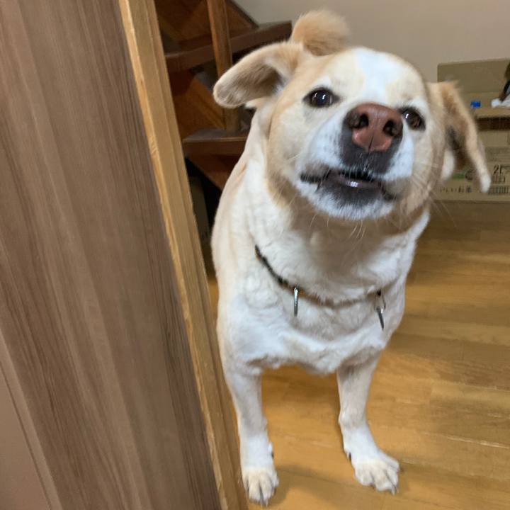 378c3003 79bb 4381 b3eb f142ffa009a1 1583810267380