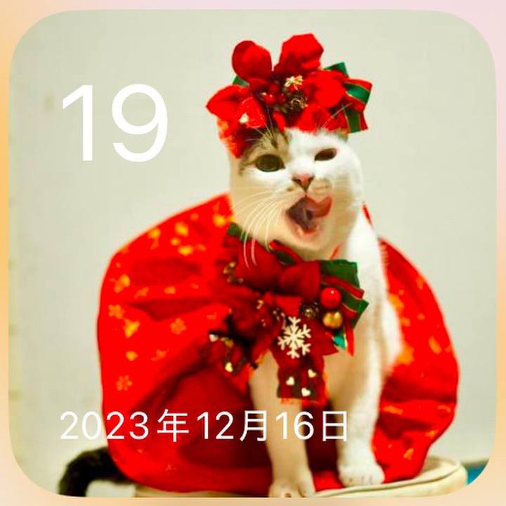378c63f0 93ff 4169 98bb 1c5004e5cef6 1734584275551