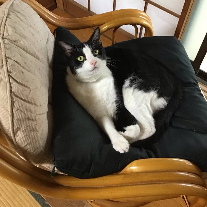 378c64ac ee02 4e65 ba8d 03687db18266 1720602845089