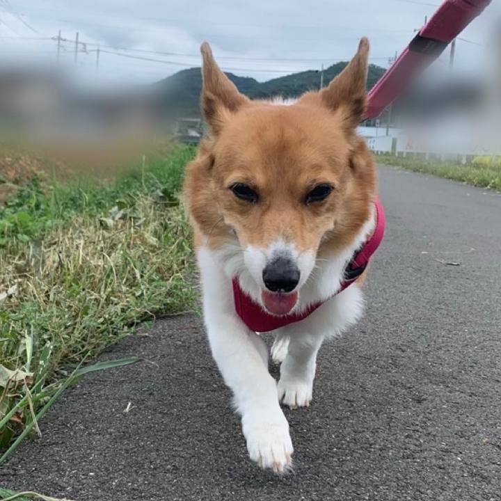 378caa47 88d5 4128 aced 2941e822a814 1693353386613