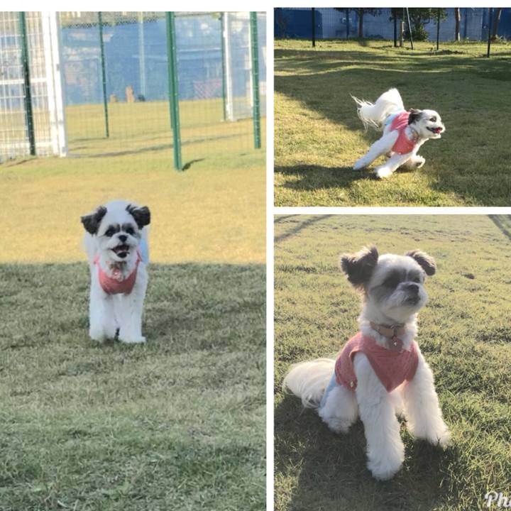 378cc998 639d 4ae0 964f b38afaaea5a0 1509131132814