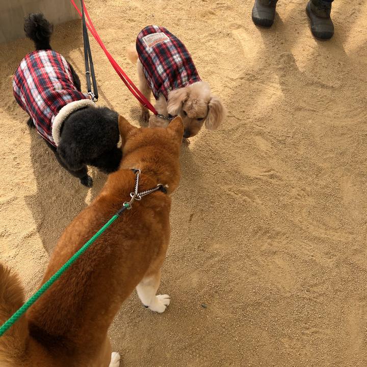 378ce4e9 6fc0 42d4 9db5 f1191ebb2a52 1552794114150