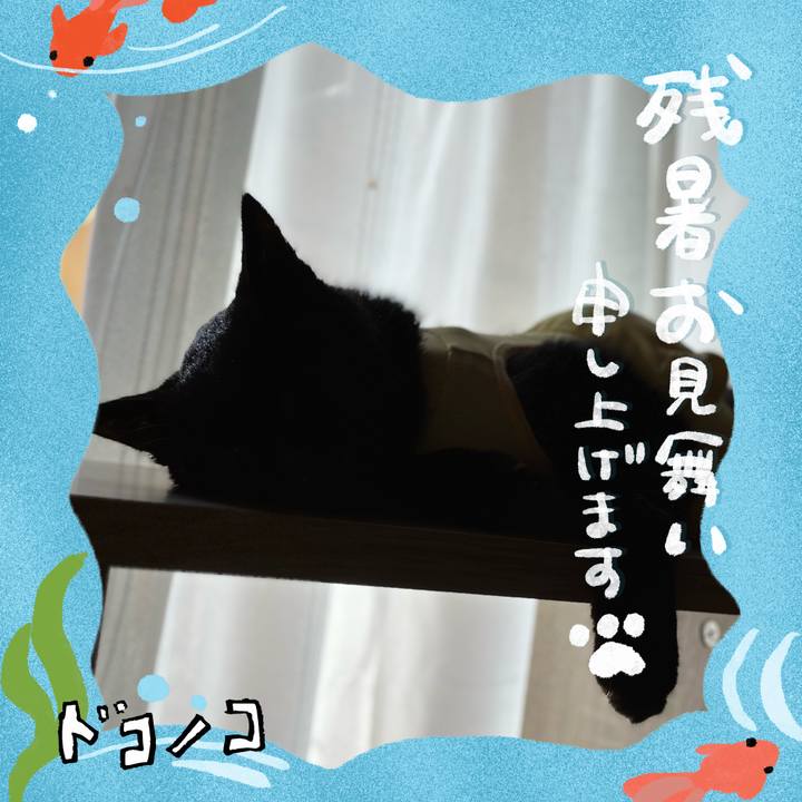 378ce62a c56f 4100 8a88 4d2773aa67da 1723253332981