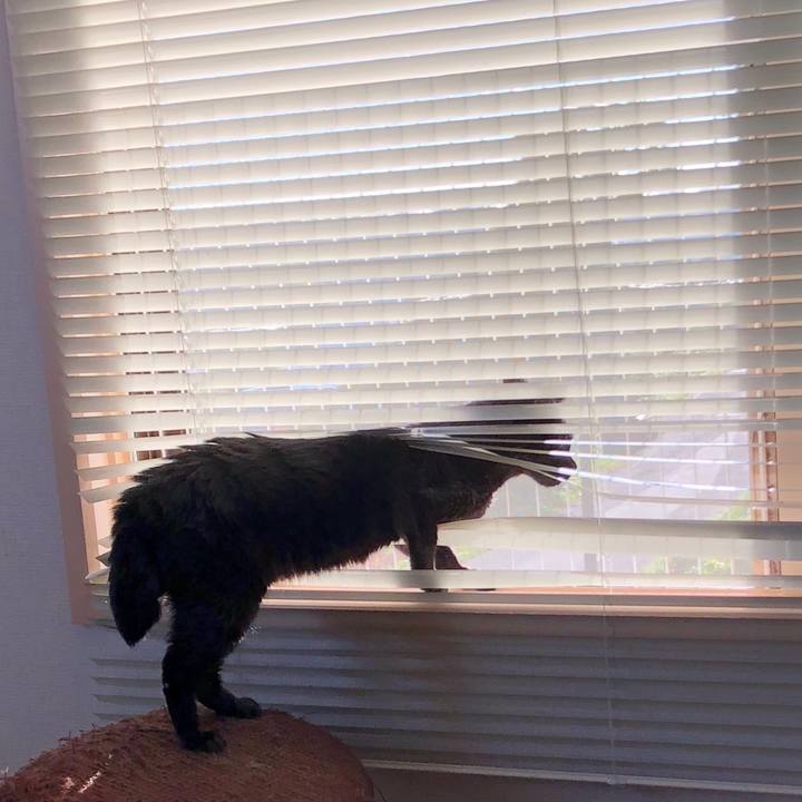 378d2964 cfb1 41f7 b4f6 7037bc26e566 1597699433950