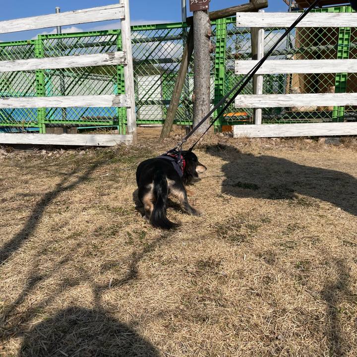 378d436a 8131 448f bea4 513d9e120670 1643720991148