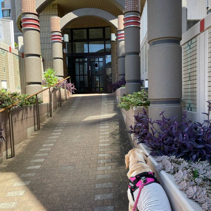 378d62f6 18b1 4177 8621 36c97f6d9fe4 1628152001025