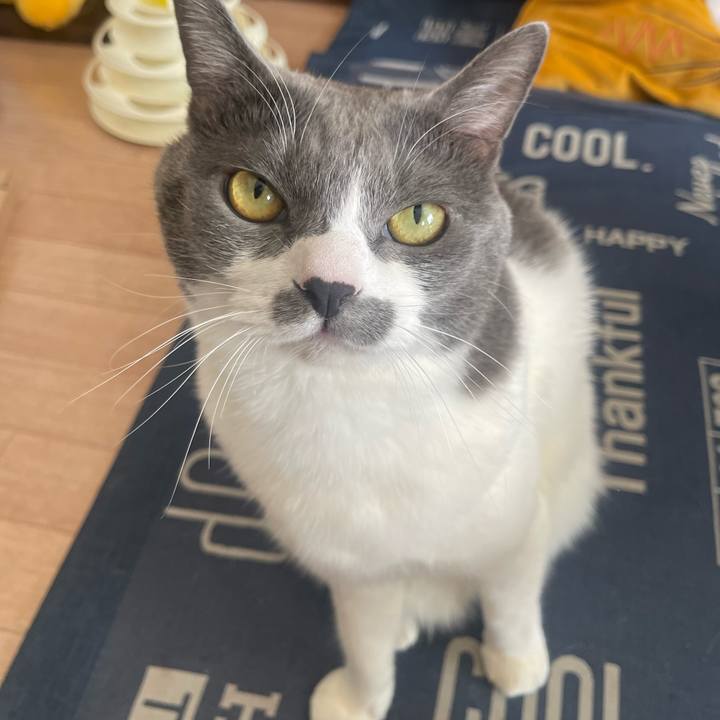 378d6d2a 2c55 4eeb a425 28e15105dc08 1733018661538