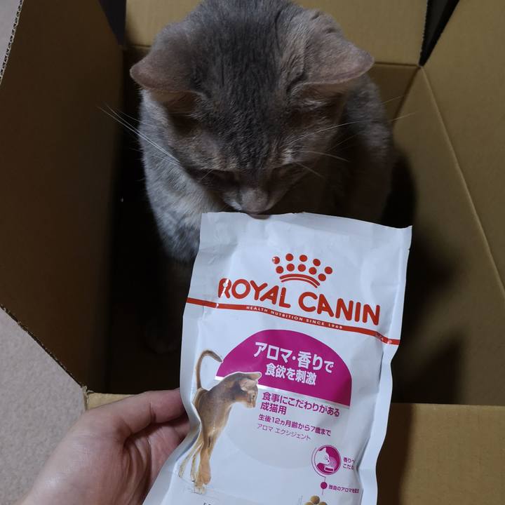 378d6fd9 f39c 4ee9 ab4c 96d2d5e941db 1592836020305