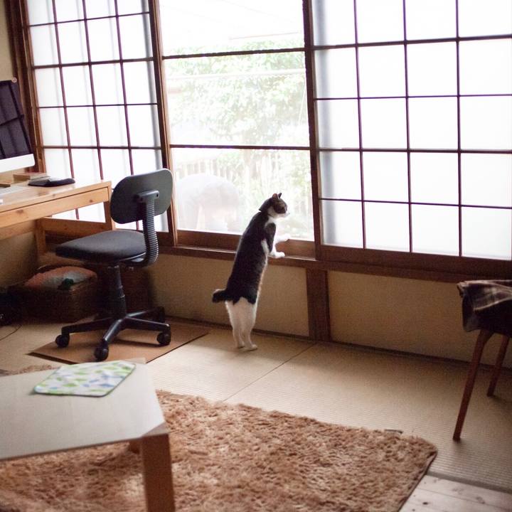 378d8b9b 31c4 4714 a68e 70edf77e2a56 1586048299724