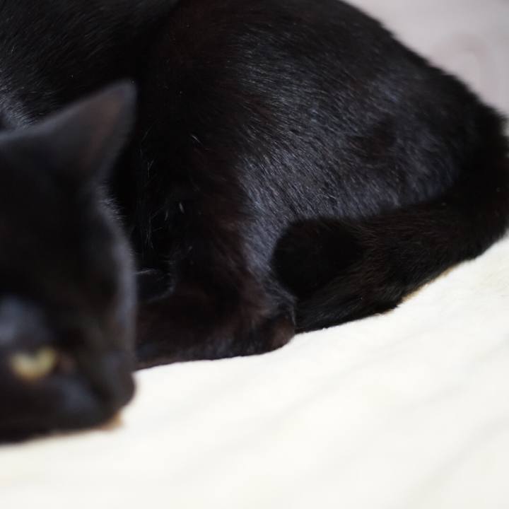 378dc539 1f3a 4629 9447 af68c494dc5d 1521503001960