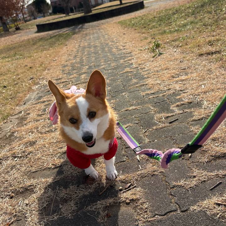 378dc608 db73 4419 94dd d9bb0b88ce8e 1766469858867