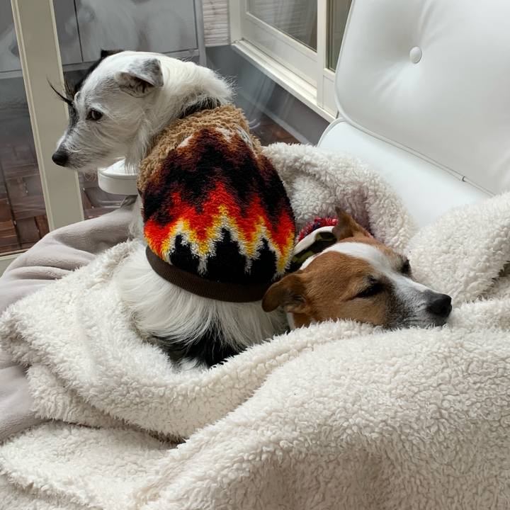 378dcf78 6813 4854 9121 6fb8b378bb6d 1578440192540