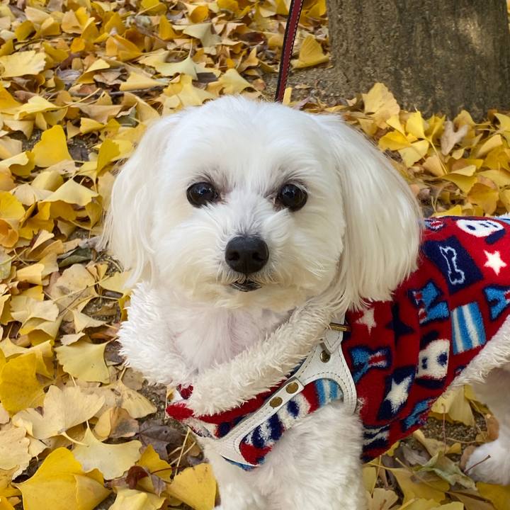 378dde1b 9af6 4991 9fcd 02b9f63f1019 1575096755299