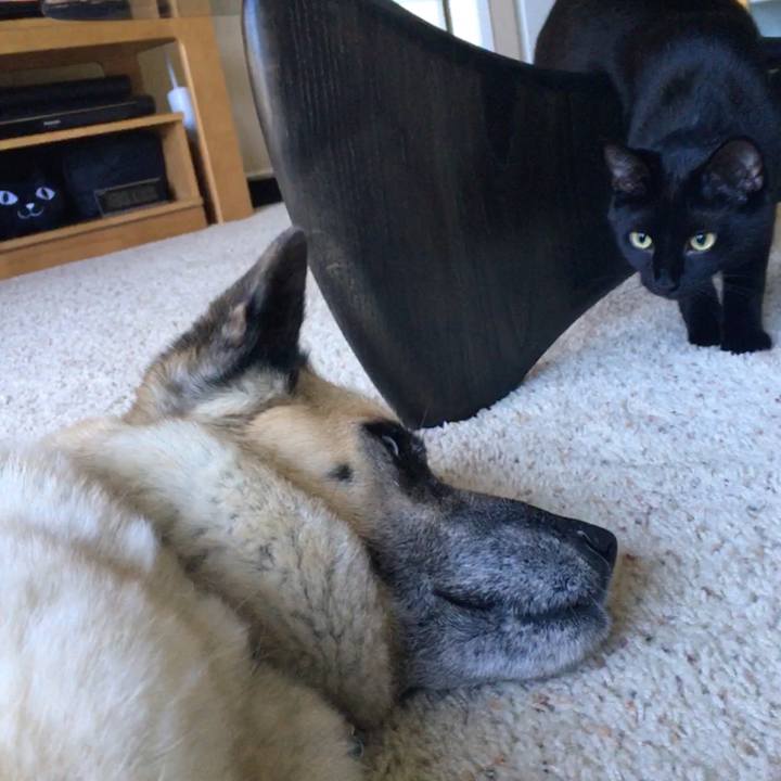 378e288f c5a4 4daa bf4c db65b463948e 1528952327423