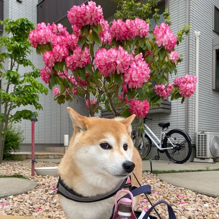 378e2f89 c7c3 41af b381 36f450532c65 1650949150555