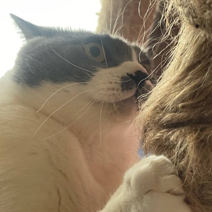 378e3157 0f8a 4a72 aaed 558a49810f13 1738458513733