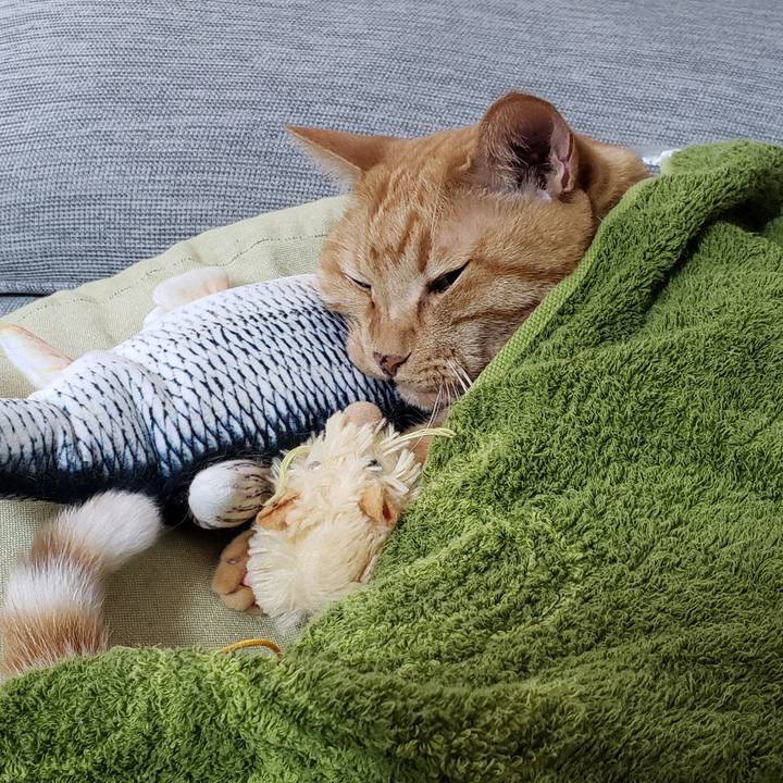 378e3717 5fbc 48e1 a985 1aad21379b99 1721101554068