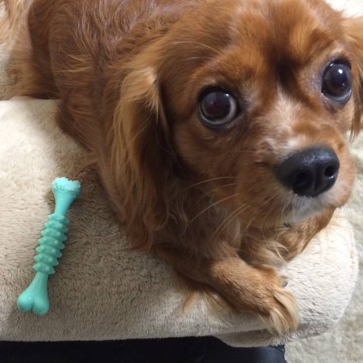 378e6d15 11bd 4094 8764 1c9a2a0353d8 1517219464440