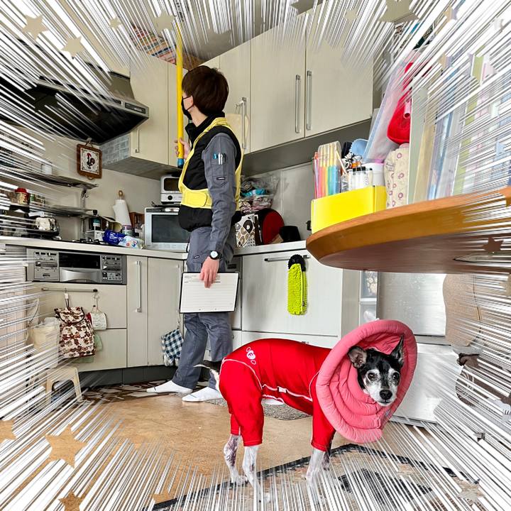 378e7659 91fb 4ab6 a05d e3a5e204e71e 1643088767554