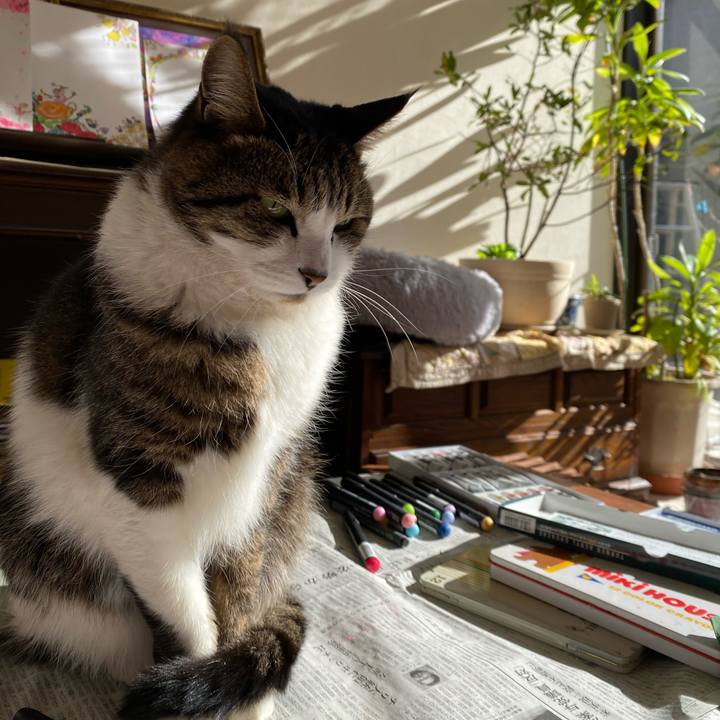 378e7b85 173f 4fa9 bc82 3cd23c93f91a 1640844864539