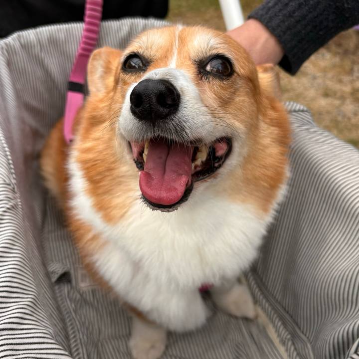 378e8d1d 8ab6 4d21 ae3a 01d4f3d24546 1731642570432