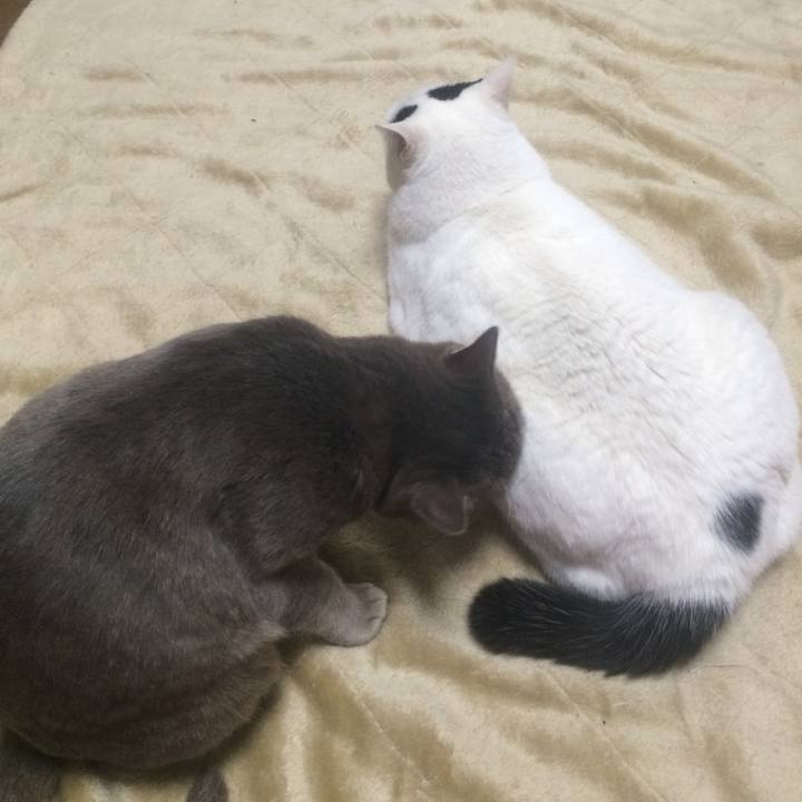 378ebc8e 76b0 4130 8876 0fd82b408af1 1510930713402