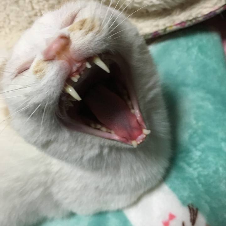 378eef4d 5559 408b 92ad 0faa55413443 1590813474388