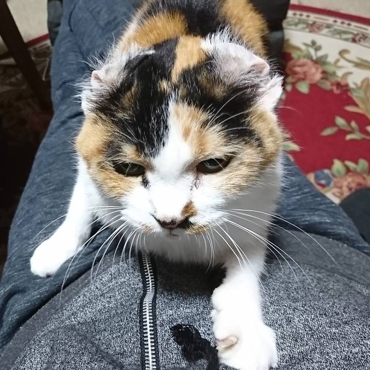 378ef1e3 82de 44c3 bb0a 27be50a3fa95 1573217011465