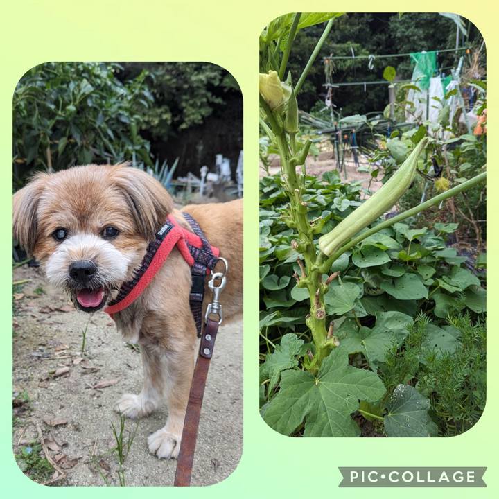 378f7c7b 285a 433d 808b 6ce918e5d930 1692611296517