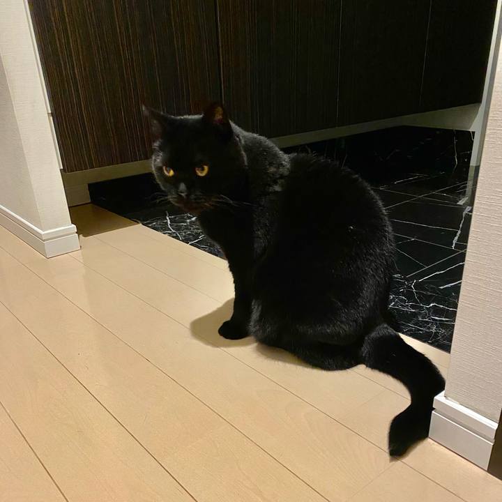 378f88d6 660e 4cba b9d4 91dff137dcf2 1679577567740