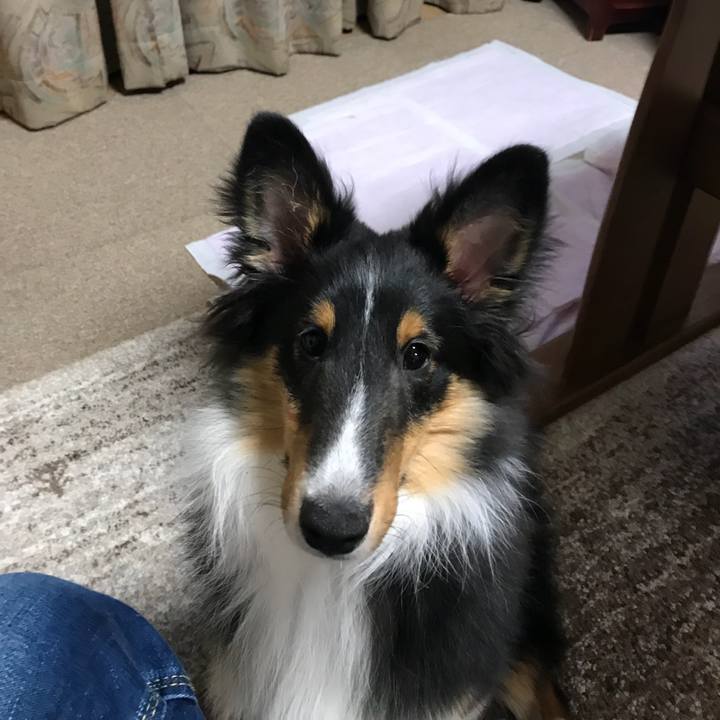 378fa65c 9402 4bce 9921 adf97f3f9d72 1518732313218