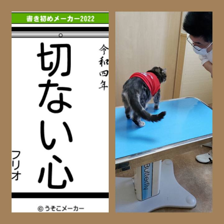 378fb0c9 cb3d 4b82 9021 c5cfcd3519fa 1641281610448