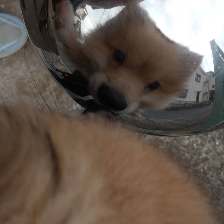 378ff6a2 eea7 4ba1 9333 b5baa9c440c5 1723074747081