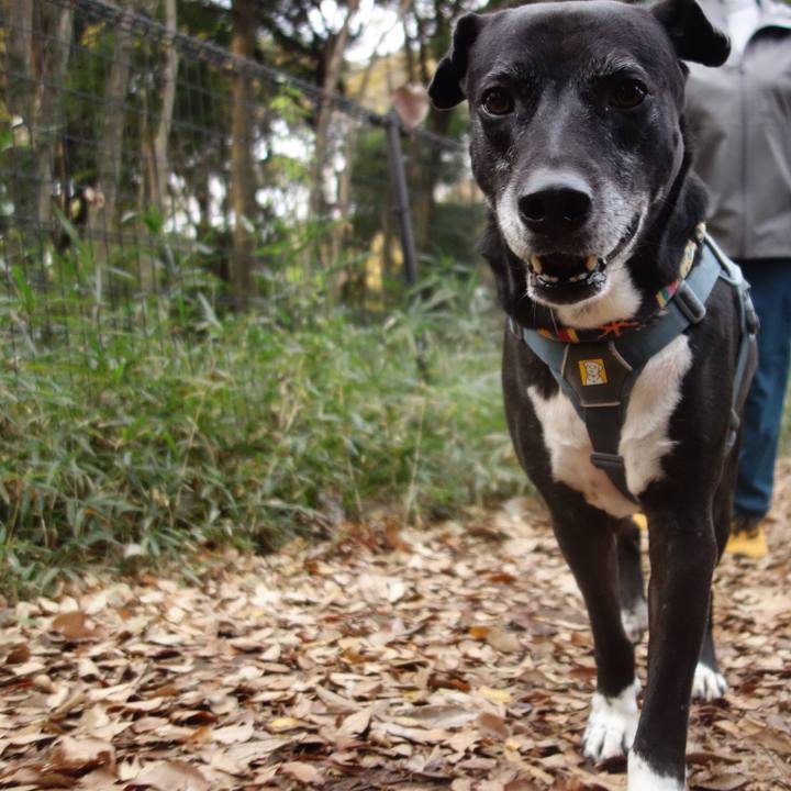 378fff47 bb05 4c17 948b 87720e85b727 1733875472772