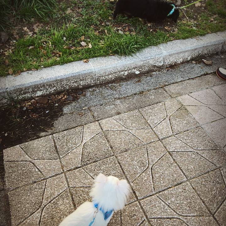 37909c1f acf2 4255 9587 6e2cc4cfa4d5 1523208017990