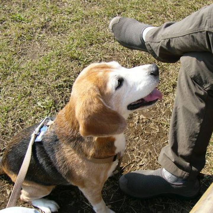 3790a318 1b7b 477c 8a77 8889240c3bf0 1643678509842