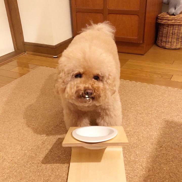 3790c6ea e078 4375 8b93 411ded3de23c 1510823731310