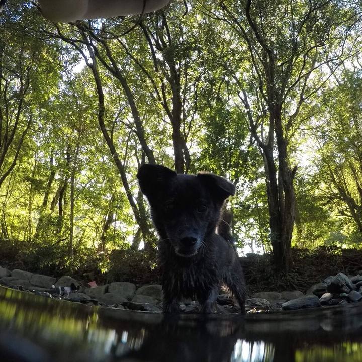 37910791 4e93 4914 9ec6 a26866dc8a3c 1537448717839