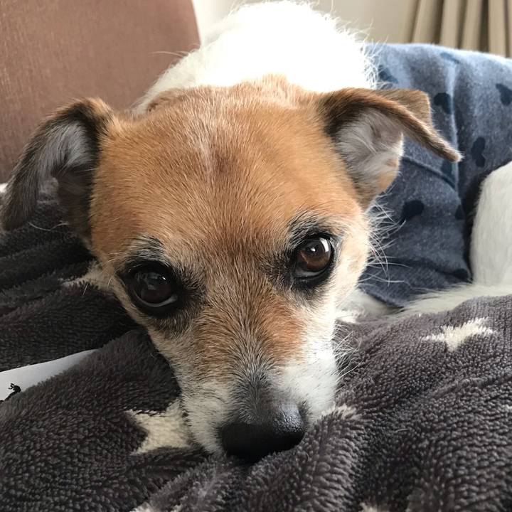 37911aae 0389 432b 80d5 fb6560d4a19e 1551250882341